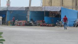 نام نویسی بازارچه فصلی انار آغاز شد