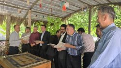 تجلیل از شوراهای شهر ایج و بخش مرکزی در روز شوراها